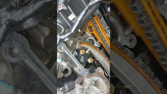 Ford 4.6 2v oil starvation смотреть онлайн