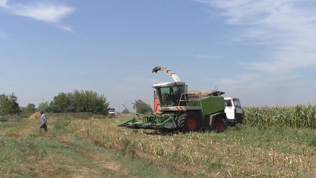 уборка кукурузы на силос.в Беларуси 2020 ч 1 смотреть онлайн