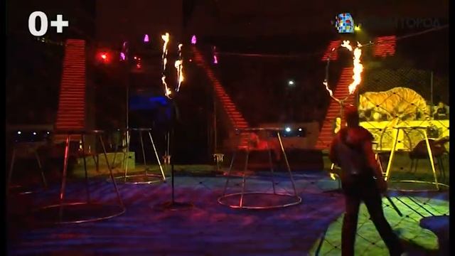 Новогоднее представление в Нижнетагильском цирке смотреть онлайн