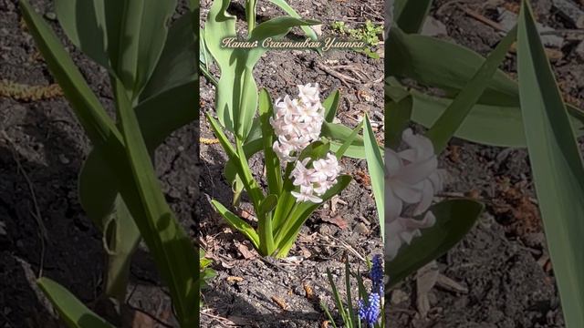 Звуки апрельского города смотреть онлайн