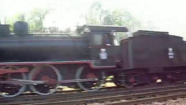 Wolsztyn 2009 Parada