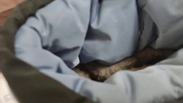 Сапоги дутики NICOLETA 9378 смотреть онлайн