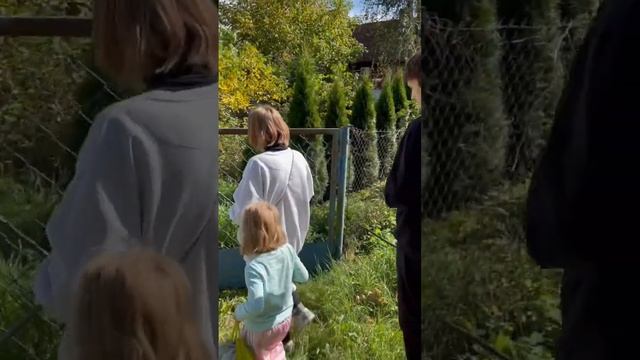 Наша дача. Шале Валеди. После смерти отца достался дом в деревне. Начало нашей истории в отчем доме смотреть онлайн