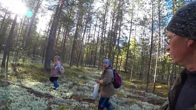 Ужасные  волны на реке. Подписчики в лесу.  Лес полон грибами. 1/2 серия /Поход в лес 20.09.22/