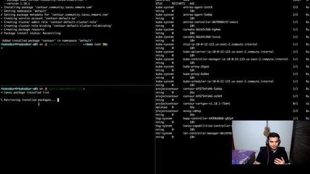Tanzu Community Edition Package Management смотреть онлайн