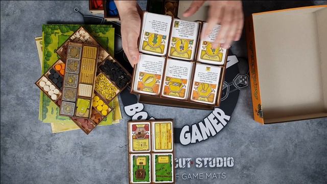 Pimp My Game | AGRICOLA | In My Box