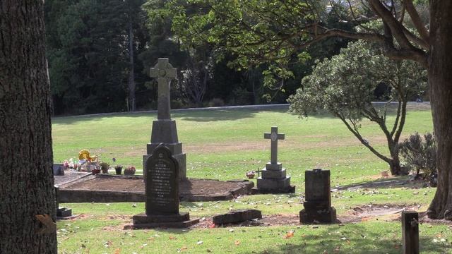 Canon XA50 смотреть онлайн