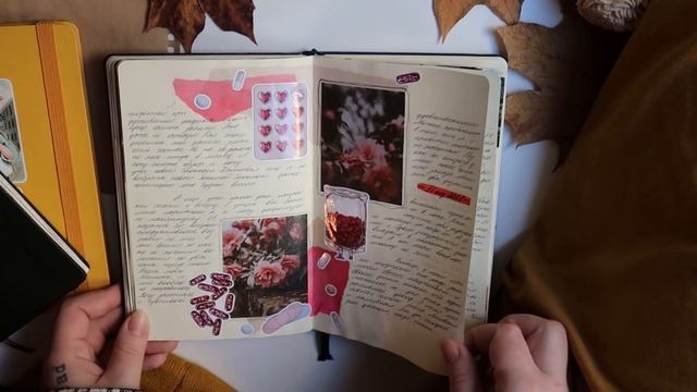 personal diary / мой ЛД #15 (полный обзор) смотреть онлайн