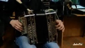 Бию койлэре, татарские плясовые, на гармони Пичугина