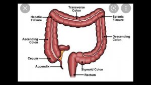 La Historia de Kenneth Pinyan ("MR HANDS") 2 Guys 1 Horse