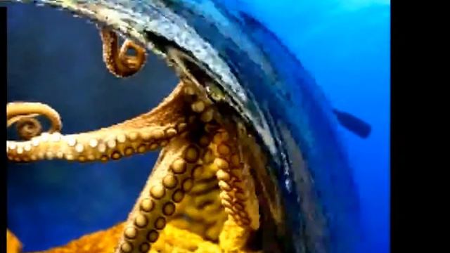 Океан смотреть онлайн