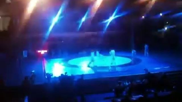 ЧМ России по боевому самбо 2012 смотреть онлайн
