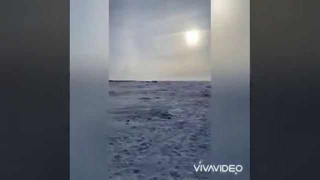 В ужасный ветер рыбачили на озере Чаны ! Судак и отличные окуня смотреть онлайн