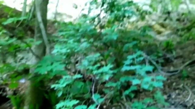 Швабский Альб #2 Прогулка к водопаду Бад Урах. Spaziergang zum Wasserfall Bad Urach смотреть онлайн
