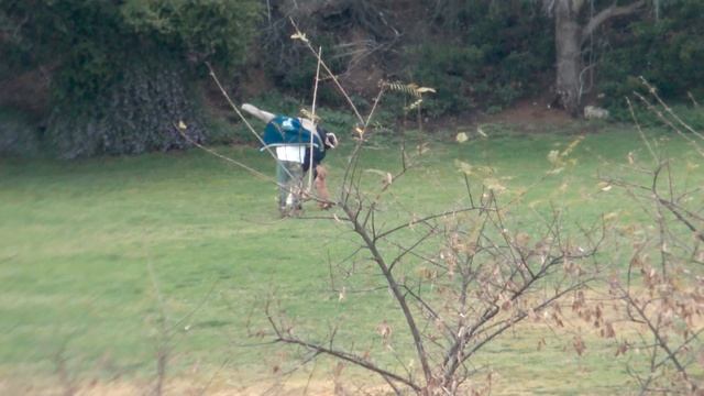 Kaia Gerber And Jacob Elordi Display Their Puppy Love At The Park смотреть онлайн