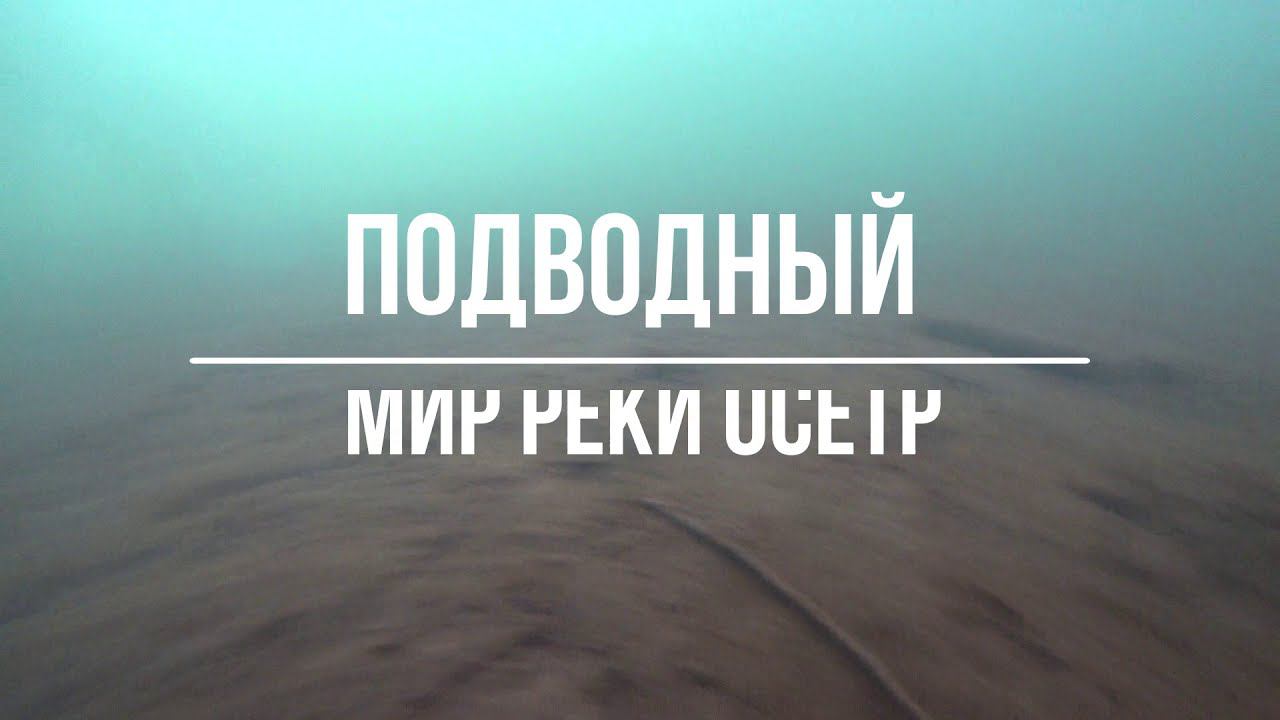Подводная съёмка. Зимняя рыбалка под льдом. Мать природа. Sony fdr-x3000 под водой. смотреть онлайн