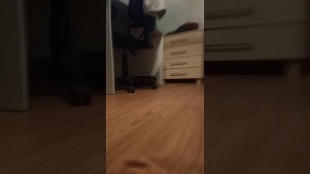 Как сделать гибрида феникса смотреть онлайн