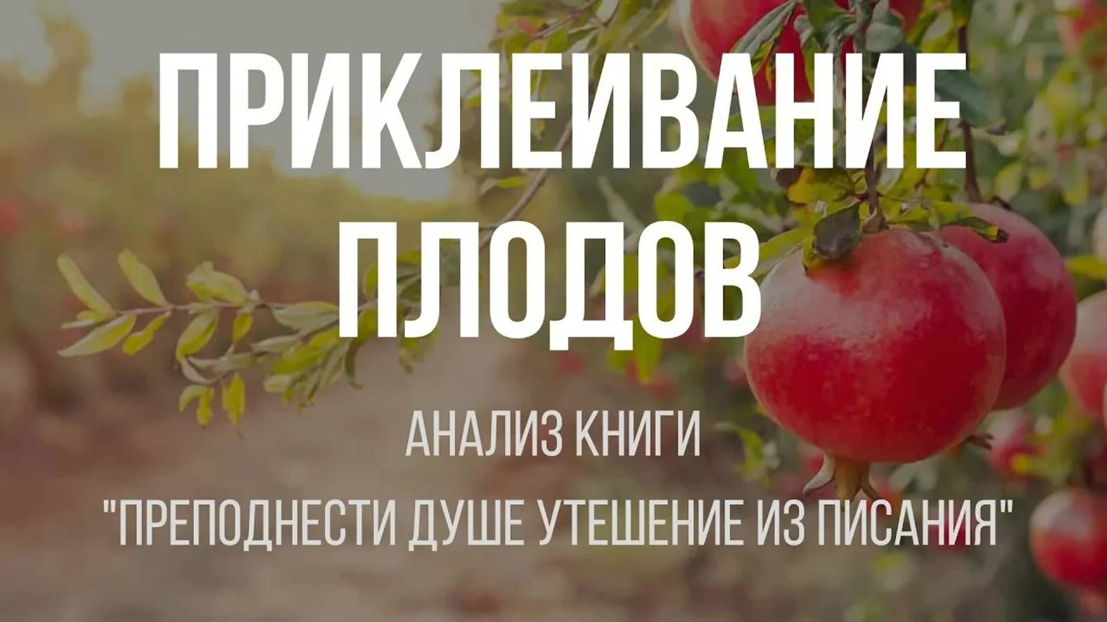 Всё происходит в сердце ｜ Алексей Прокопенко смотреть онлайн