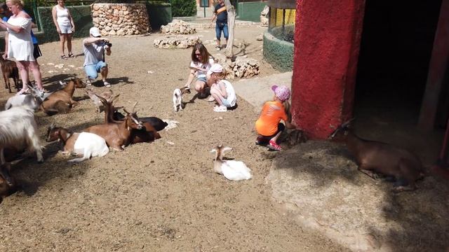 Пальма-де-Майорка (Palma de Mallorca, SPAIN) смотреть онлайн