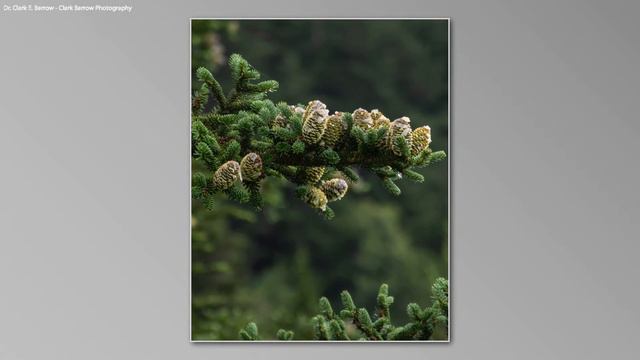 The Blue Ridge Mountains смотреть онлайн