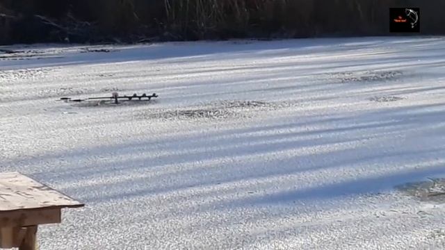 Vip пруд "Чёрные камни" 23.11.19г. Форель зимняя рыбалка по льду. смотреть онлайн