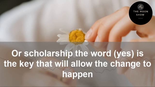 THE MOON SHOW| (yes or no ?) نعم أو لا؟ смотреть онлайн