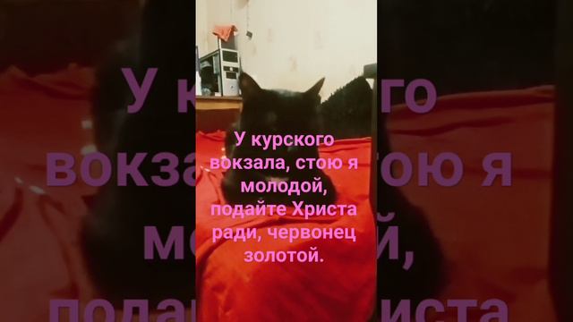 у курского вокзала стою я молодой, подайте Христа ради червонец золотой. смотреть онлайн