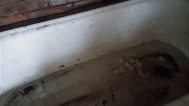 3 Курятник из старого сарая женскими руками. смотреть онлайн