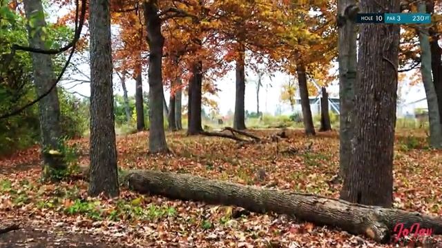 2020 Fox Run Frenzy Highlights (4K) смотреть онлайн