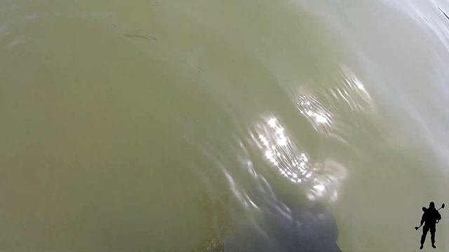 Подводный поиск в Зеленоградске с металлоискателем Эквинокс 800 смотреть онлайн