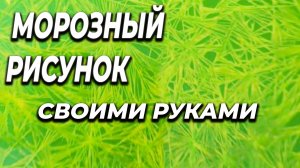 Морозный рисунок своими руками в гараже