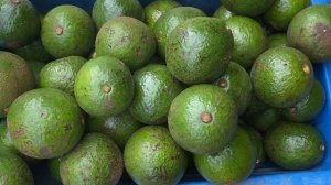 Цены на рынке в Нячанге. Магазин с чаем и кофе. Обмен валюты в центре Нячанга. Вьетнам 2022.