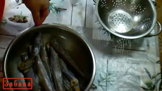 Путассу в духовке смотреть онлайн