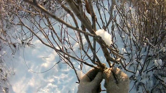 Установка петель на зайца! Поймал или нет!? смотреть онлайн