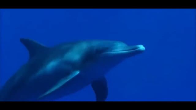 ARTSHANSON "СОН" . исп и автор. Артур Богдановский.mp4 смотреть онлайн