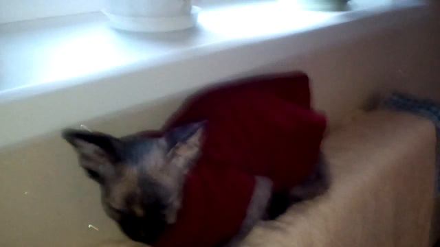 Греемся холодно нынче смотреть онлайн