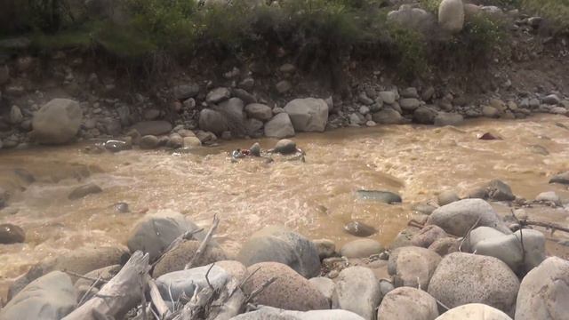 23 04 18 В камнях можно найти признаки платины и родия 2 смотреть онлайн