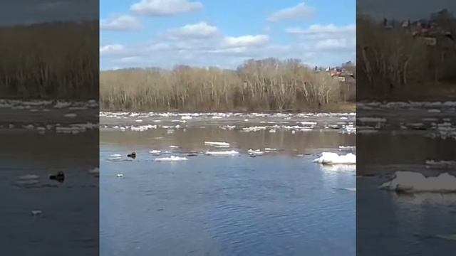 Ледоход на реке Томь в Новокузнецке [Created by CCTube-App] смотреть онлайн