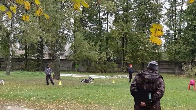 Чемпионат России 2021 ЗКС (охрана вещи) СЕДОЙ УРАЛ ЮЛИЙ ЦЕЗАРЬ 7 место (130б). смотреть онлайн