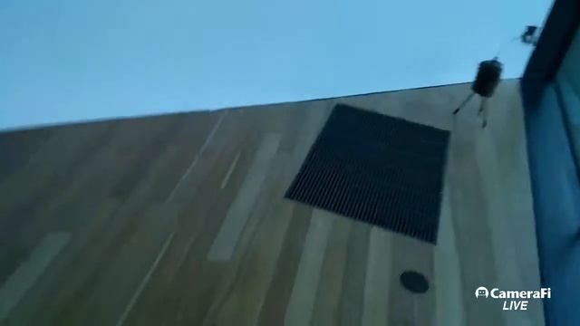 Mystery of the de Young museum / Тайна музея де Янг ? [Eng, Рус] смотреть онлайн