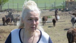 Ослиная ферма