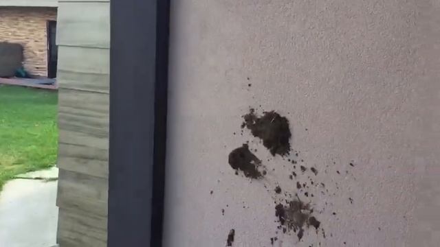 Как нужно мыть фасад своего дома, стойкость декоративной штукатурки к мойке высокого давления смотреть онлайн