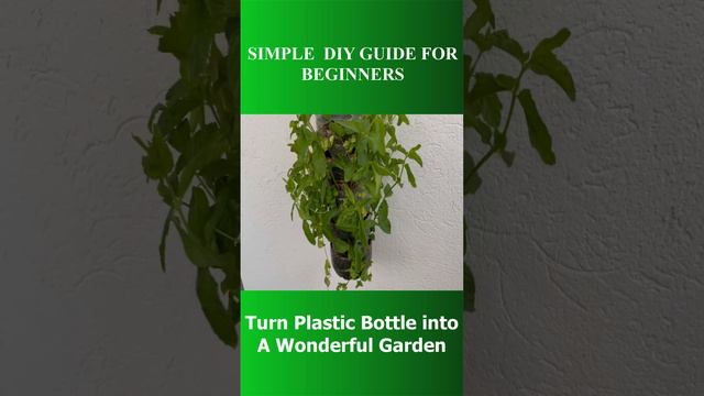 WOW DO THIS to Turn any Plastic Bottle Into a Wonderful Garden l SIMPLE DIY GUIDE FOR BEGINNERS смотреть онлайн