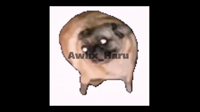 salami salami gulp gulp gulp gulp смотреть онлайн