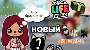 Бездомный котёнок ?_⬛?? _ Toca Life World _ тока бока _ toca boca _ Secret Toca