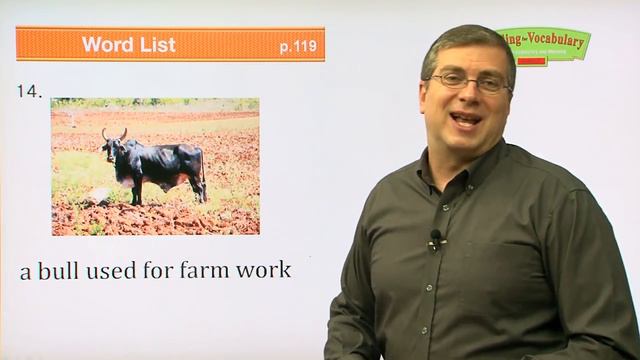 Reading For Vocabulary WORD | Level C | Lesson 14 |  Brian Stuart I ( Learn English )