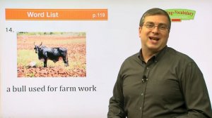 Reading for Vocabulary WORD | Level C | Lesson 14 |  Brian Stuart I ( Learn English )