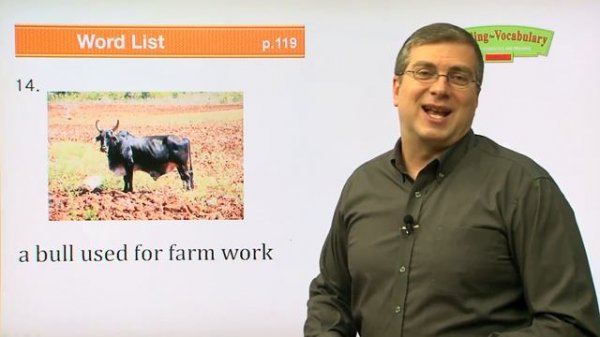 Reading for Vocabulary WORD | Level C | Lesson 14 | Brian Stuart I ( Learn English )