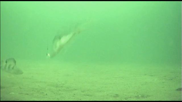 Это Рыбалка . Озиро Имандра . Minecraft Dungeons. Майнкрафт. Apatity. Подпишись и поставь лайк !! смотреть онлайн