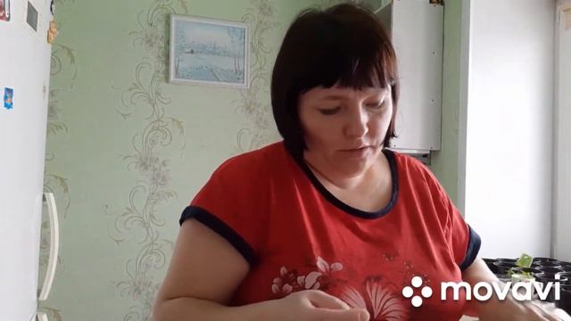 Влог. 18.03.2021 г. День сурка и почему так сложно угодить смотреть онлайн